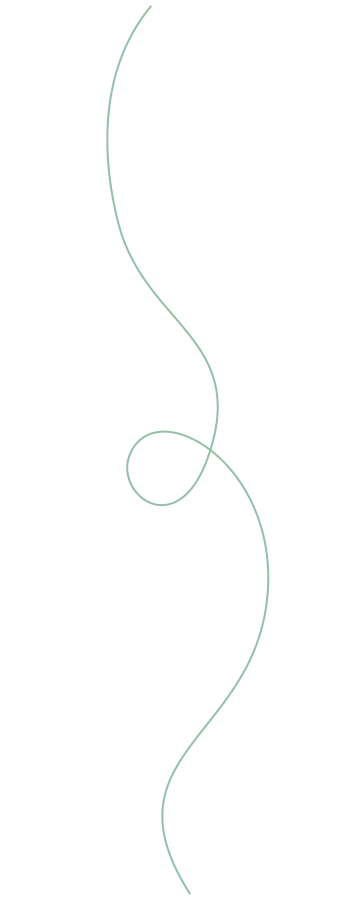 How to Elevate Your Everyday Look with Effortless Style -BamBam Fashion Shop shape 2